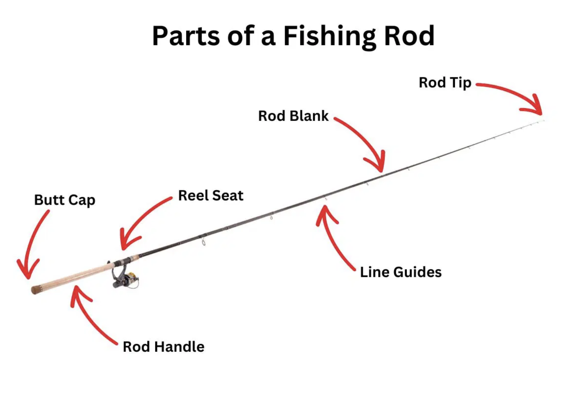 fishing-rod